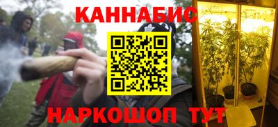 крисы Аргун