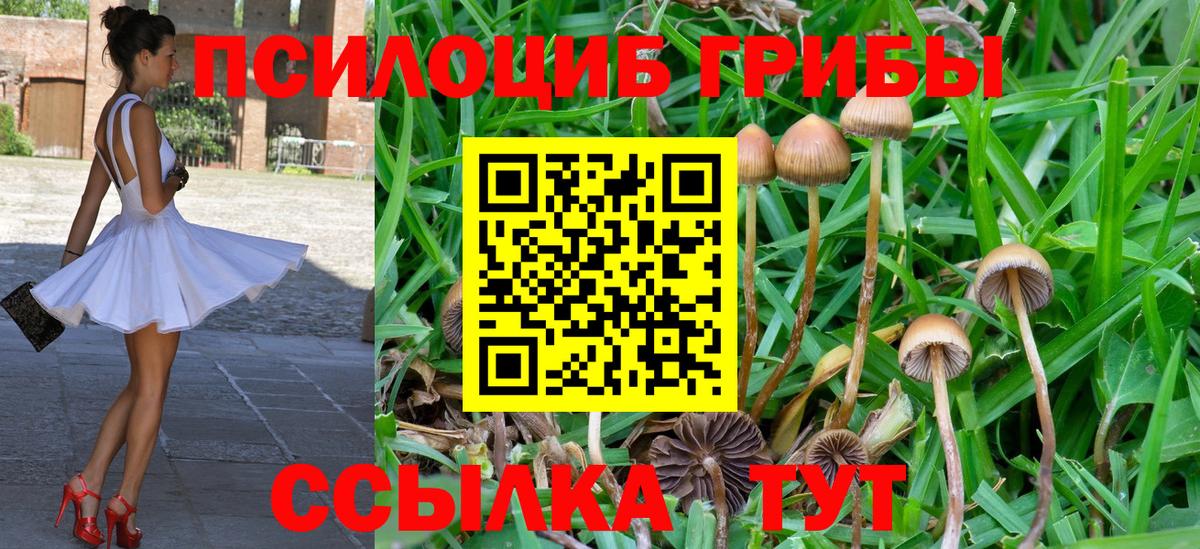 Псилоцибиновые грибы Psilocybine cubensis  Вход с VPN  закладка  Бахчисарай 